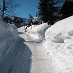 Alpesi faház Clubhotel Am Florysee 6 5*