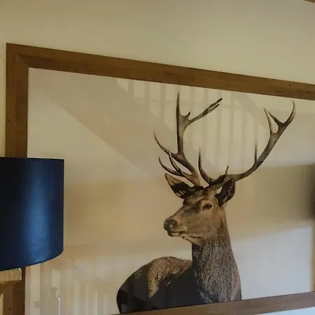 Clubhotel Am Florysee 6 Chalet