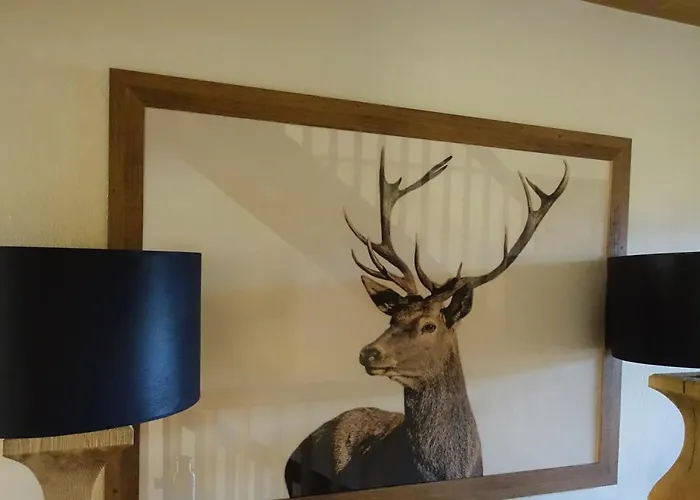 Clubhotel Am Florysee 6 Dağ evi